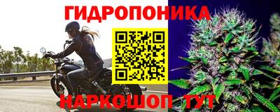 кокс Кандалакша