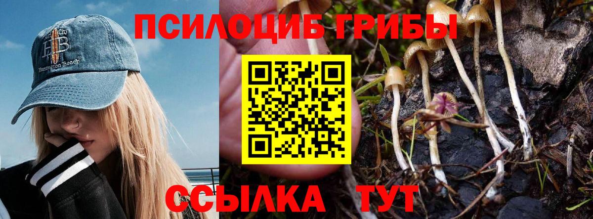 Псилоцибиновые грибы мухоморы  Вход с VPN  Канаш  Псилоцибиновые грибы мухоморы 
